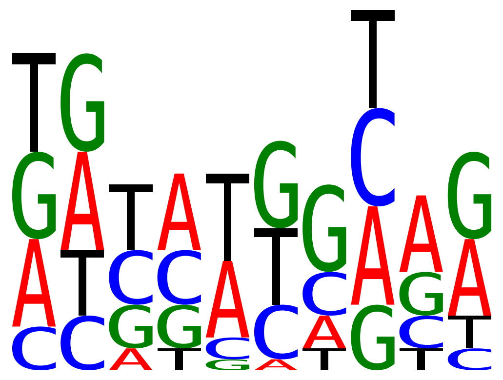 ../../_images/marsilea-plotter-SeqLogo-1.png
