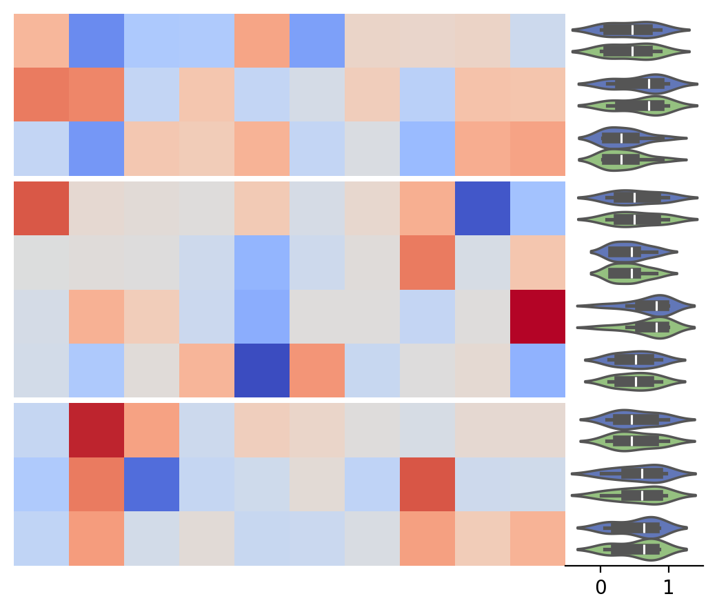 ../../_images/marsilea-plotter-Violin-2.png