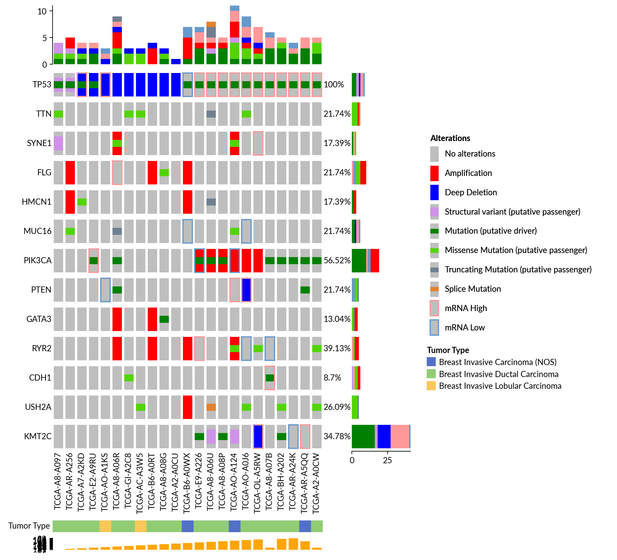 plot oncoprint