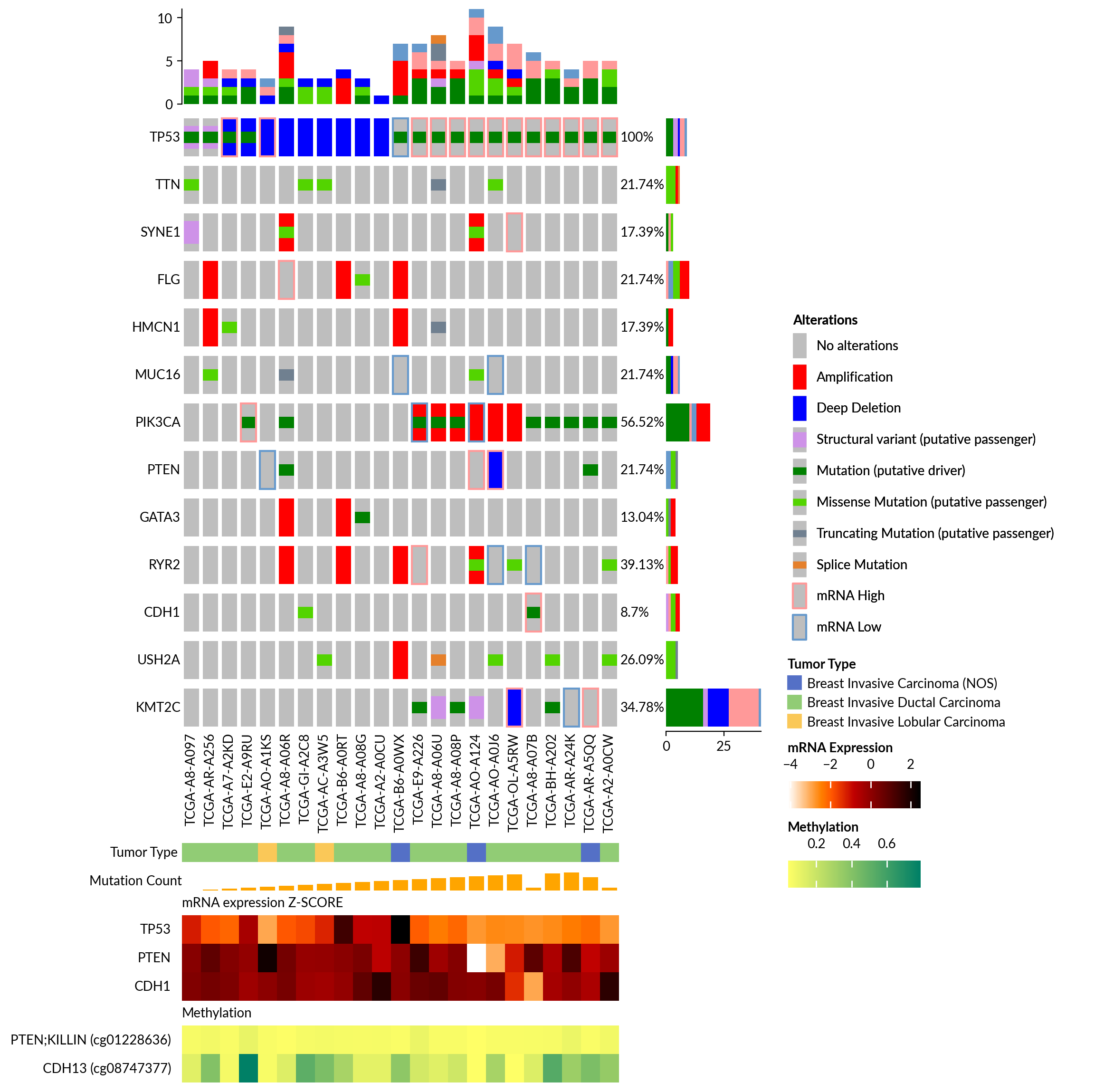 plot oncoprint