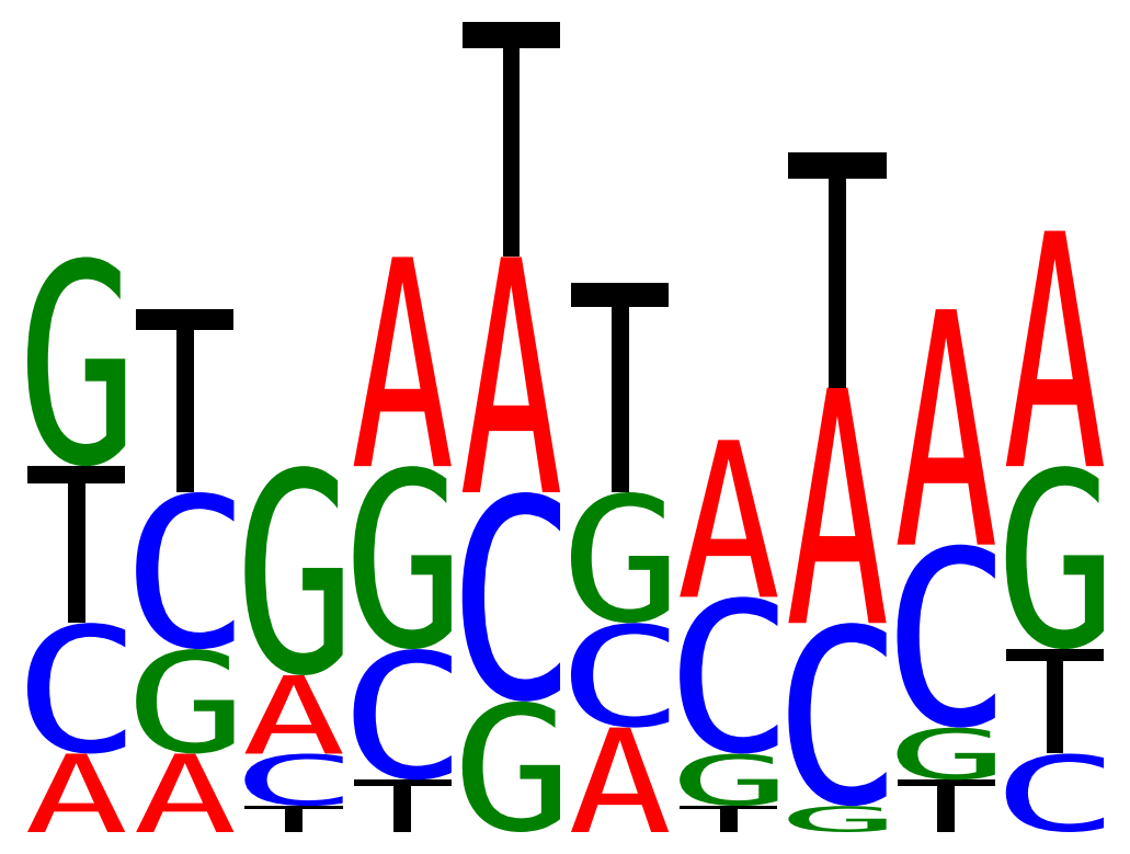 plot seq logo