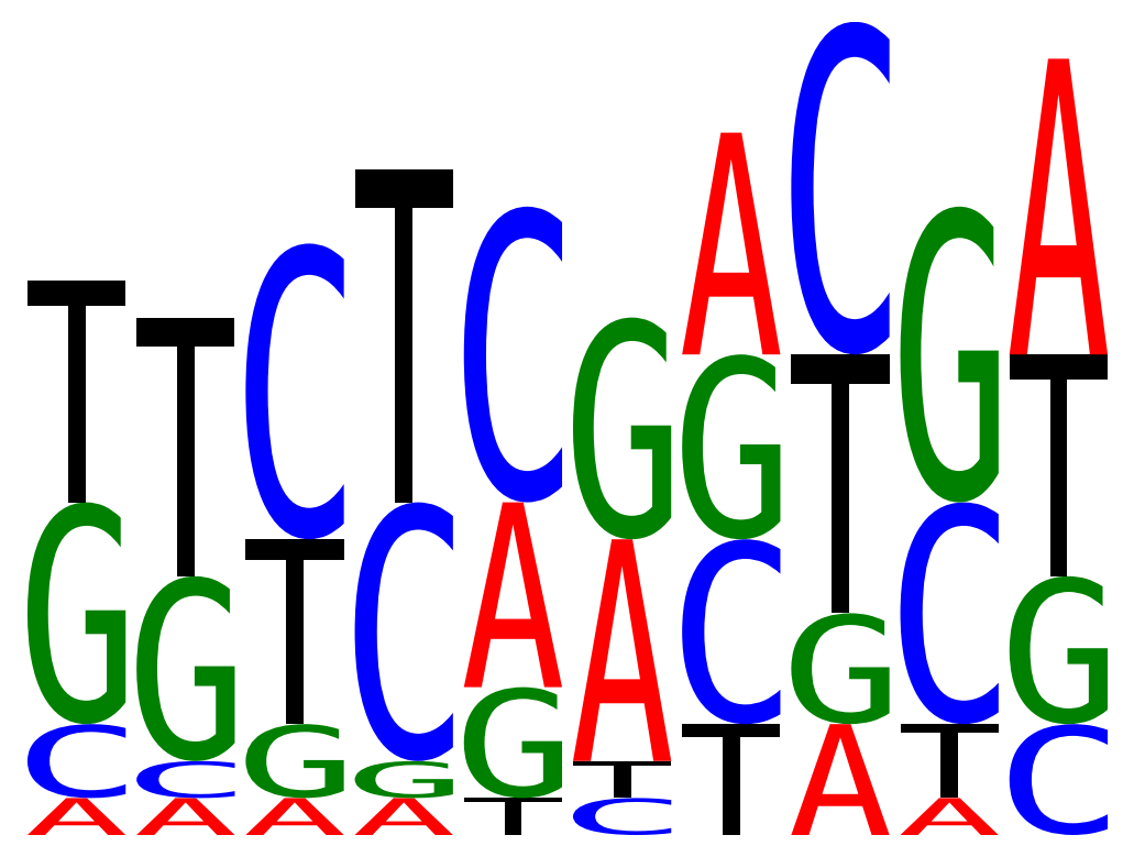 plot seq logo