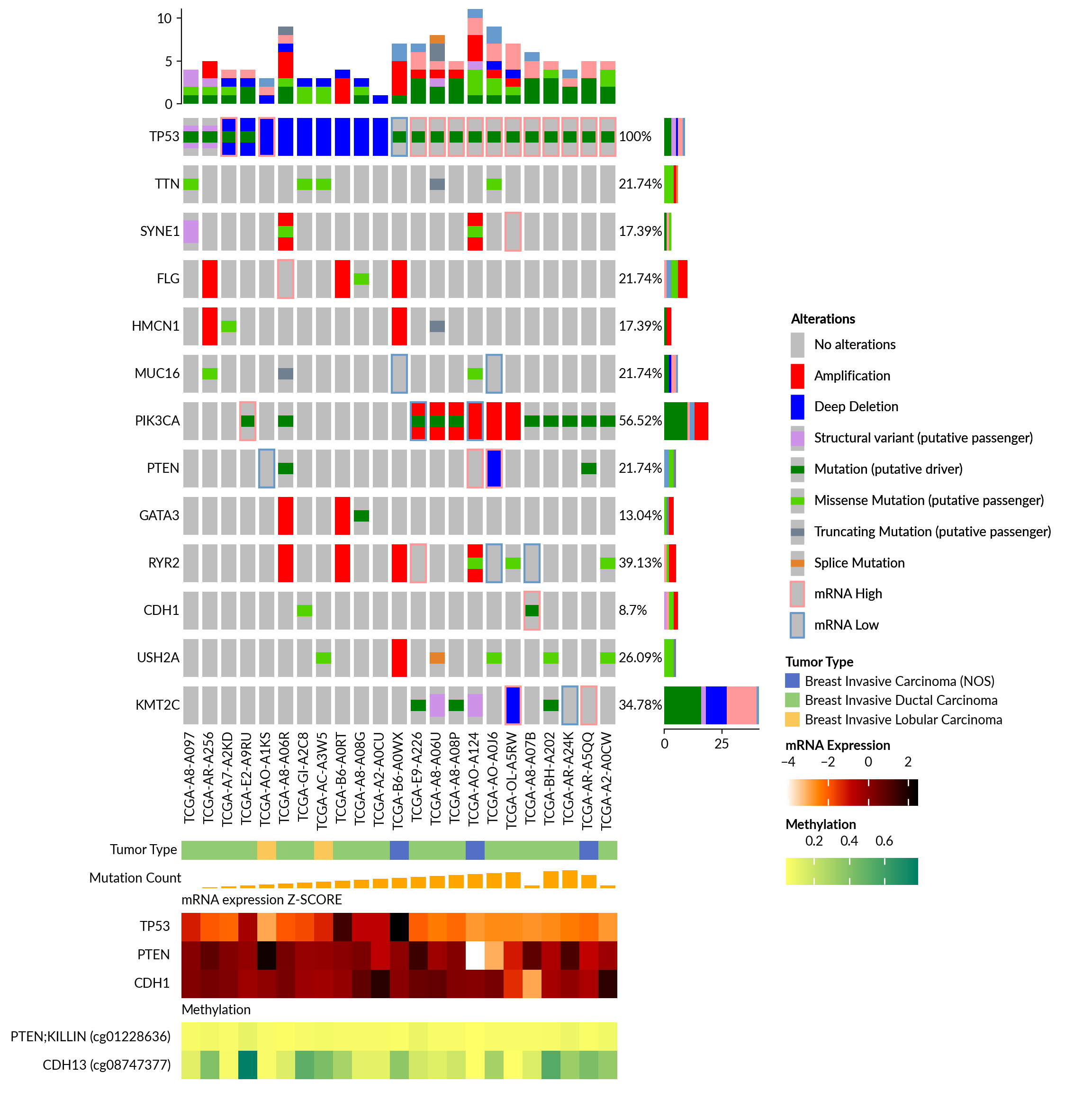 plot oncoprint