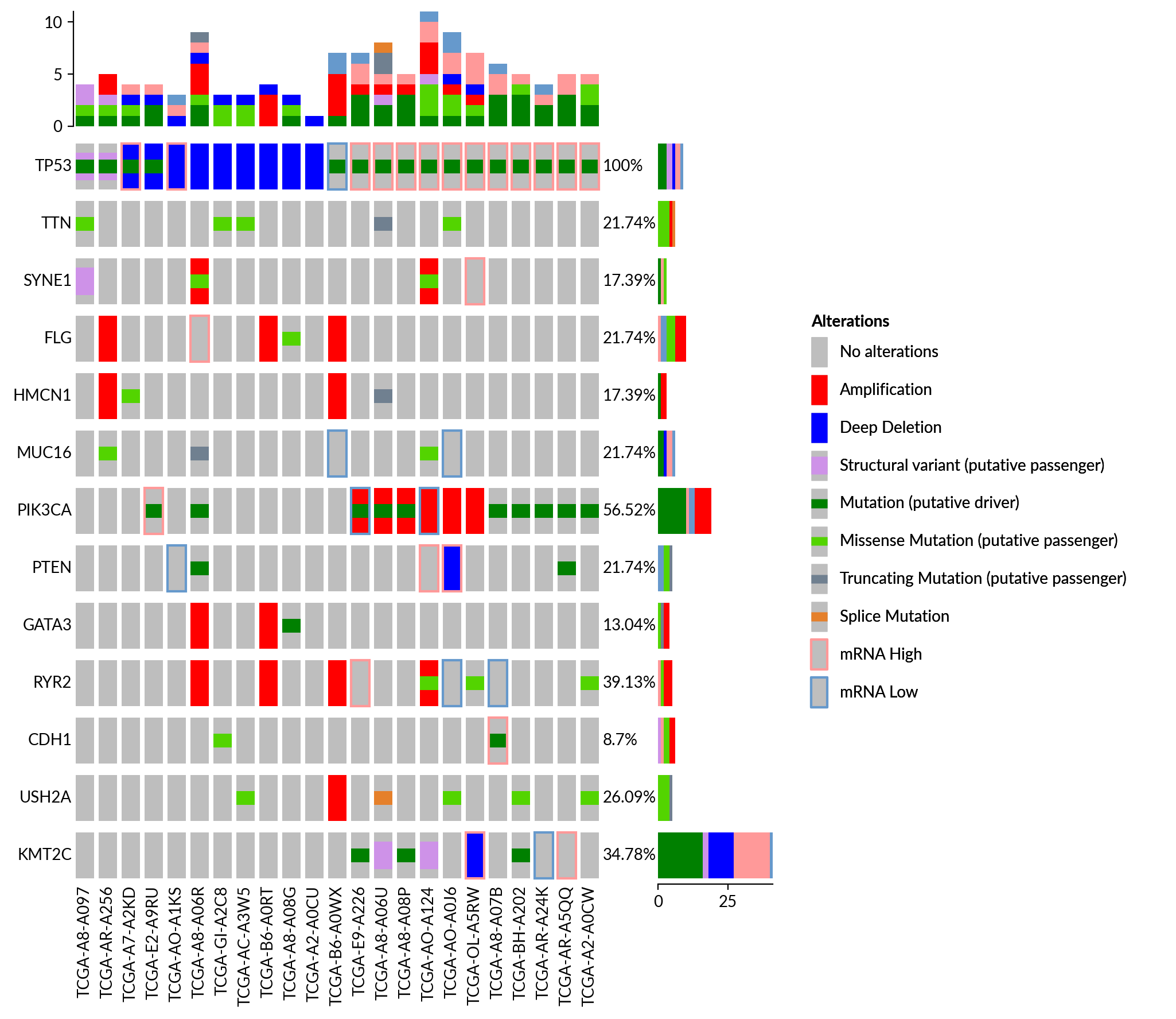 plot oncoprint