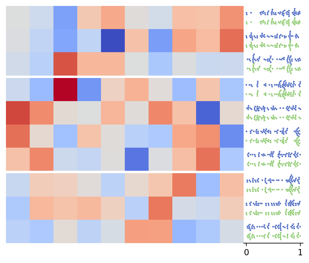 ../../_images/marsilea-plotter-Swarm-2.png