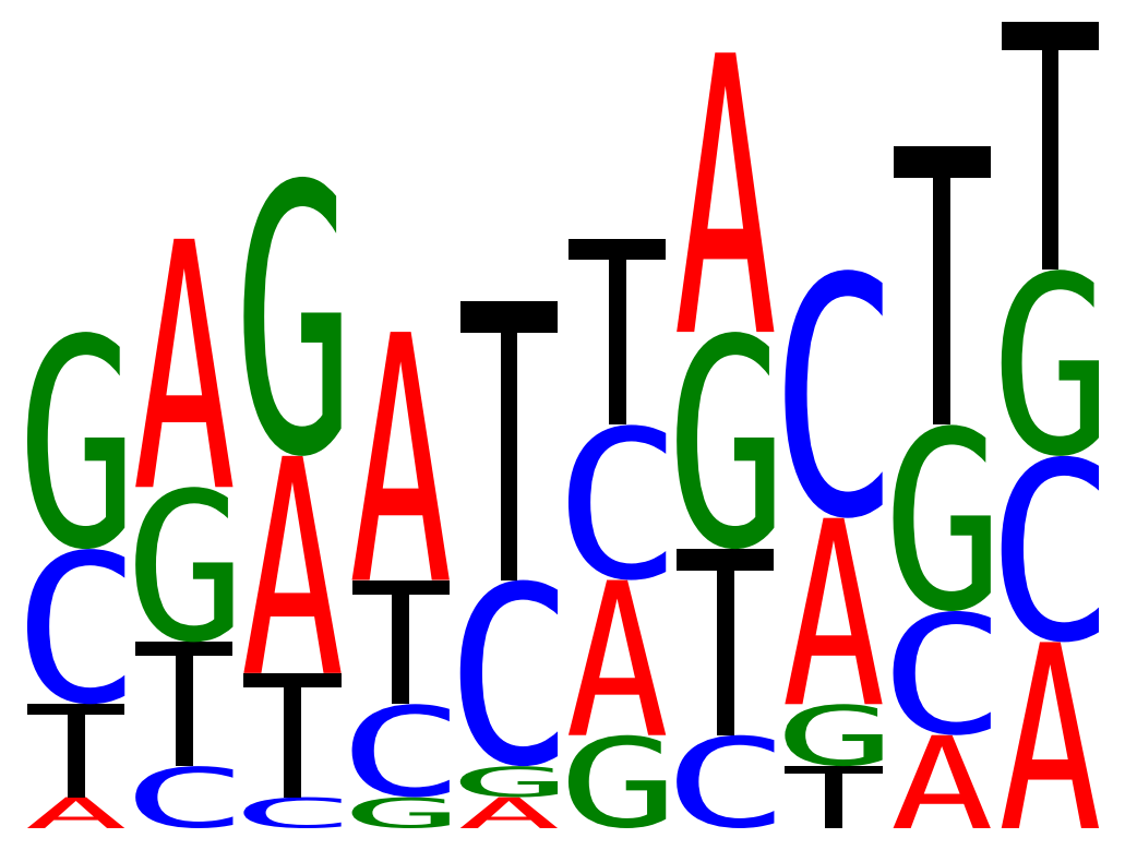plot seq logo