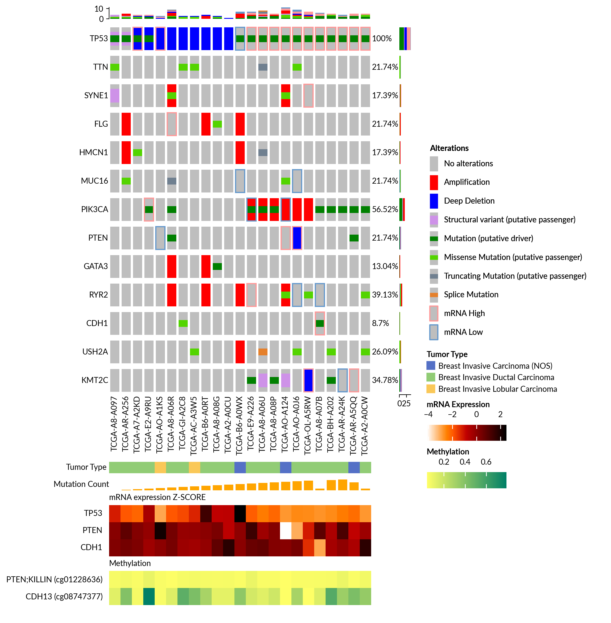 plot oncoprint