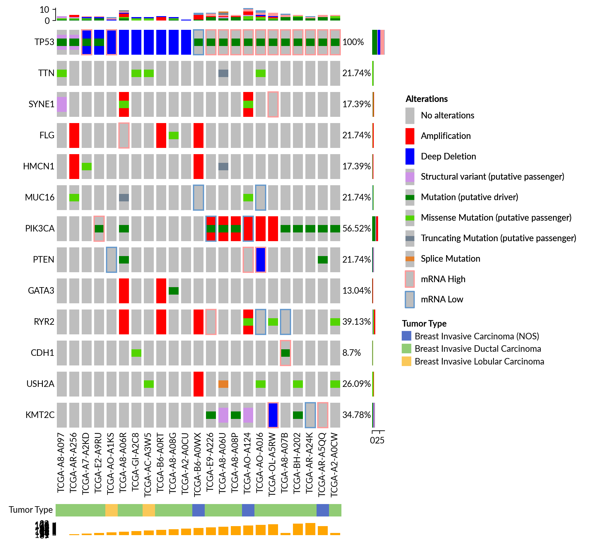 plot oncoprint