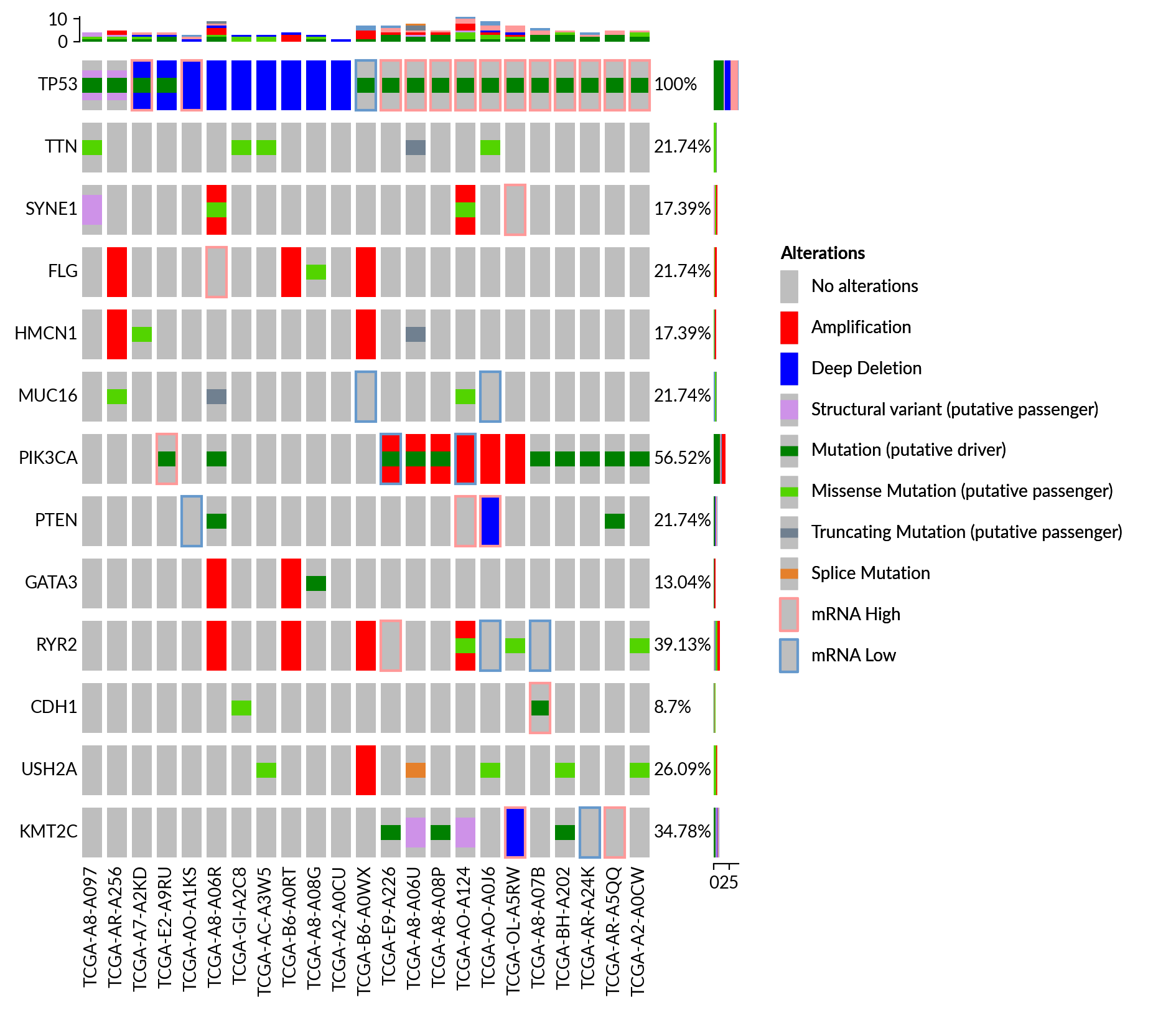 plot oncoprint