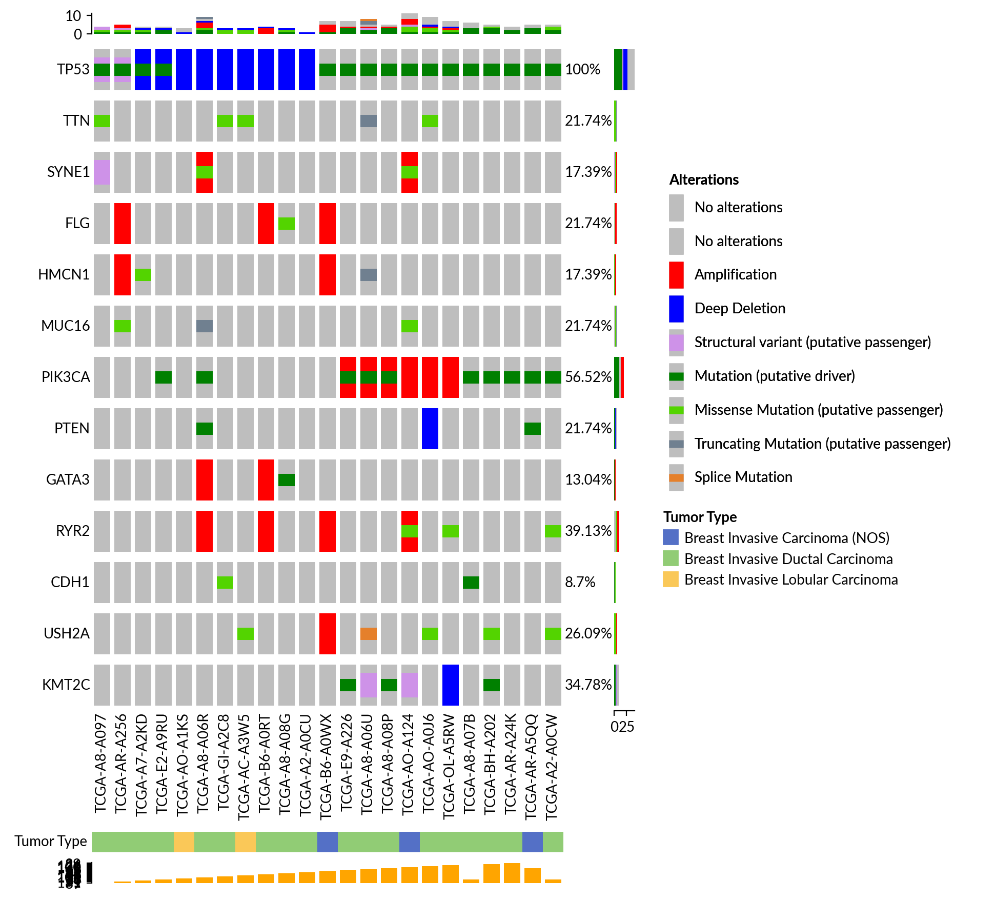 plot oncoprint