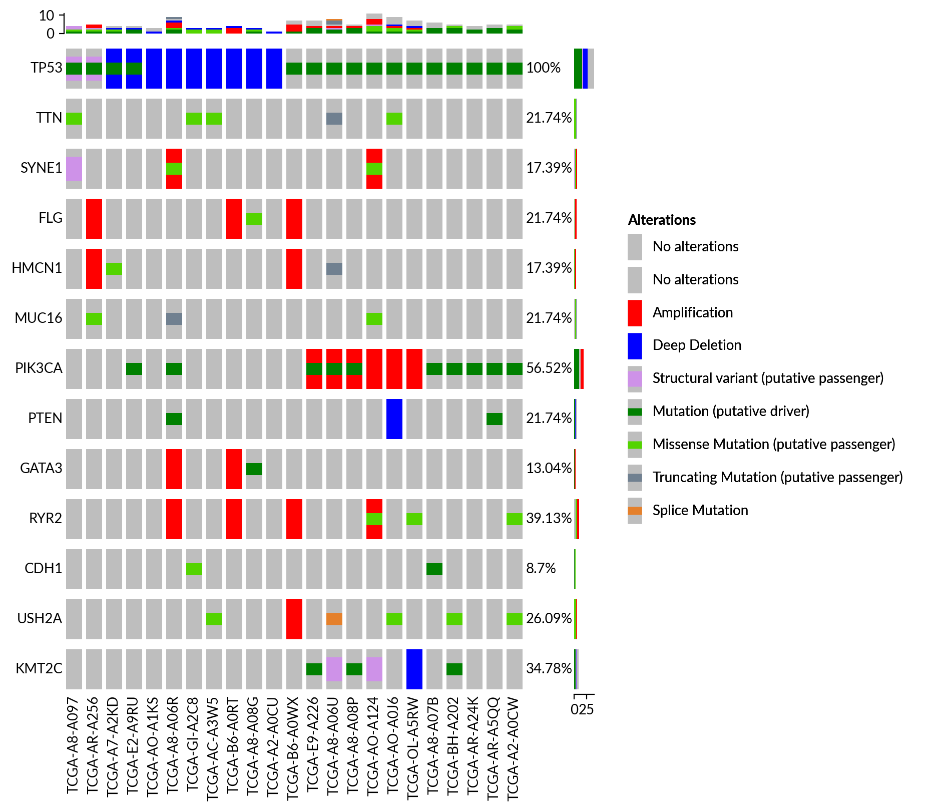 plot oncoprint