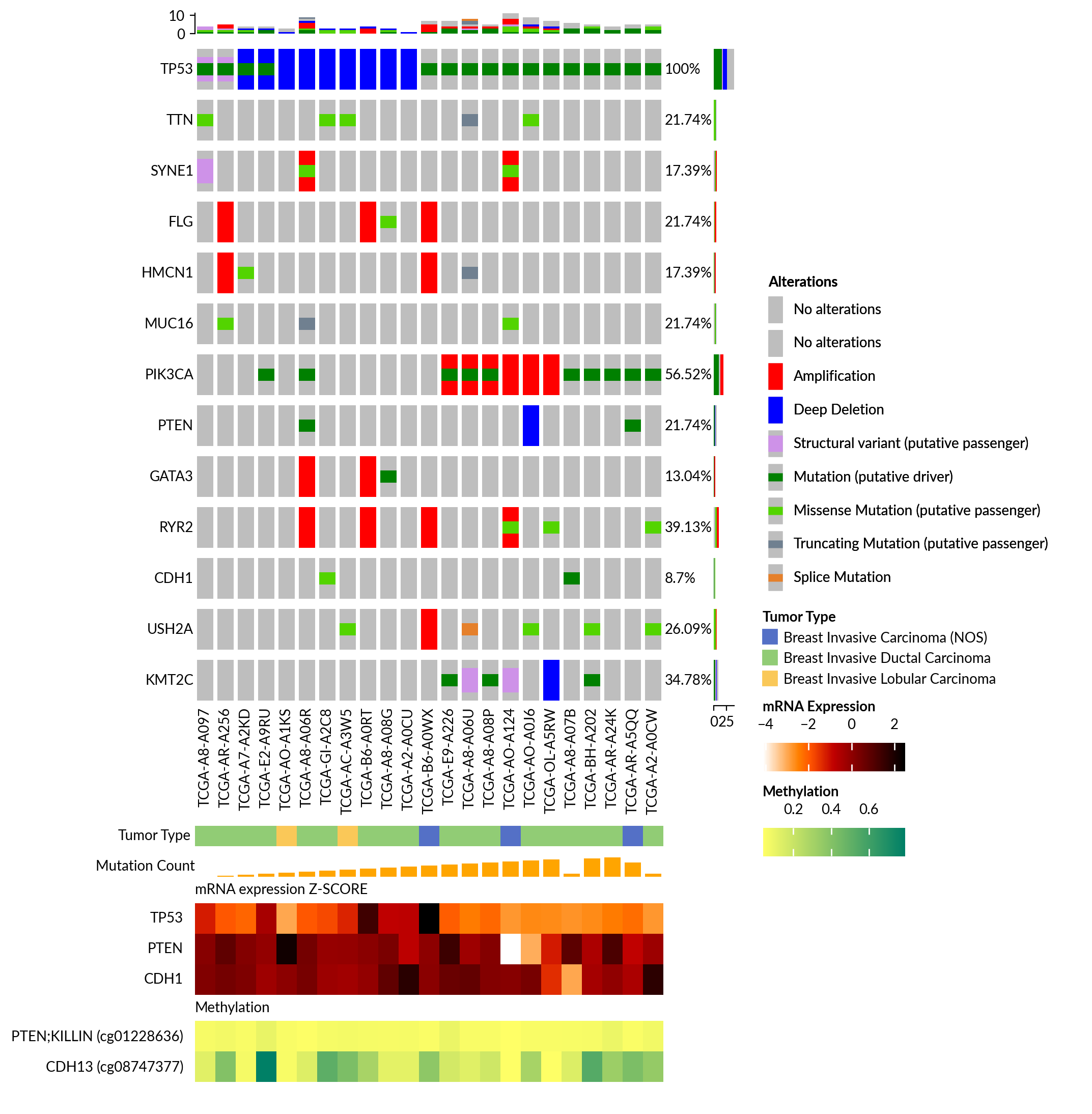 plot oncoprint